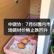 中钢协:7月份国内市场钢材价格止跌回升(图3) 中钢协:7月份国内市场钢材价格止跌回升(图3)