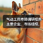 气动工具市场调研报告-主要企业、市场规模、份额及发展趋势(图2) 气动工具市场调研报告-主要企业、市场规模、份额及发展趋势(图2)