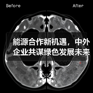 能源合作新机遇,中外企业共谋绿色发展未来(图1) 能源合作新机遇,中外企业共谋绿色发展未来(图1)