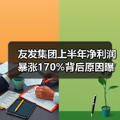 友发集团上半年净利润暴涨170%背后原因曝光（图3）