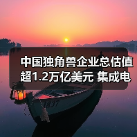 中国独角兽企业总估值超1.2万亿美元 集成电路连续4年领跑(图4) 中国独角兽企业总估值超1.2万亿美元 集成电路连续4年领跑(图4)