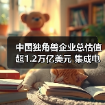 中国独角兽企业总估值超1.2万亿美元 集成电路连续4年领跑(图3) 中国独角兽企业总估值超1.2万亿美元 集成电路连续4年领跑(图3)