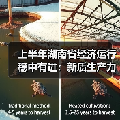 上半年湖南省经济运行稳中有进:新质生产力加快成长(图4) 上半年湖南省经济运行稳中有进:新质生产力加快成长(图4)