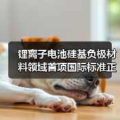 锂离子电池硅基负极材料领域首项国际标准正式发布(图2) 锂离子电池硅基负极材料领域首项国际标准正式发布(图2)