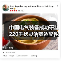 中国电气装备成功研制220千伏灵活宽适配性备品变压器(图4) 中国电气装备成功研制220千伏灵活宽适配性备品变压器(图4)