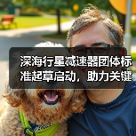 深海行星减速器团体标准起草启动,助力关键部件标准化进程(图4) 深海行星减速器团体标准起草启动,助力关键部件标准化进程(图4)