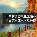 中国五金交电化工商业协会第七届七次常务理事会议在浙江嘉兴召开(图3) 中国五金交电化工商业协会第七届七次常务理事会议在浙江嘉兴召开(图3)