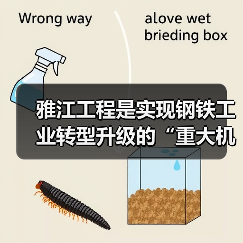 雅江工程是实现钢铁工业转型升级的“重大机遇”
