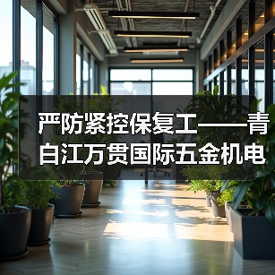 严防紧控保复工——青白江万贯国际五金机电城 在全国五金机电市场中率先开市(图4) 严防紧控保复工——青白江万贯国际五金机电城 在全国五金机电市场中率先开市(图4)