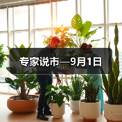 专家说市—9月1日(图4) 专家说市—9月1日(图4)