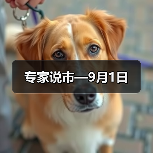 专家说市—9月1日(图2) 专家说市—9月1日(图2)