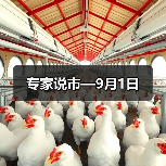 专家说市—9月1日(图3) 专家说市—9月1日(图3)