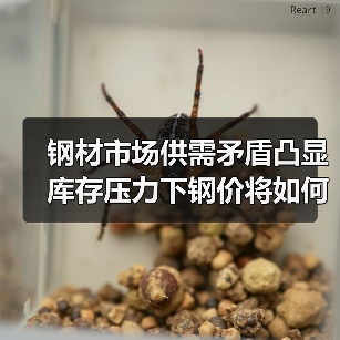 钢材市场供需矛盾凸显 库存压力下钢价将如何走？（图2）