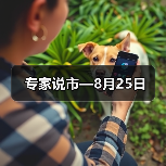 专家说市—8月25日