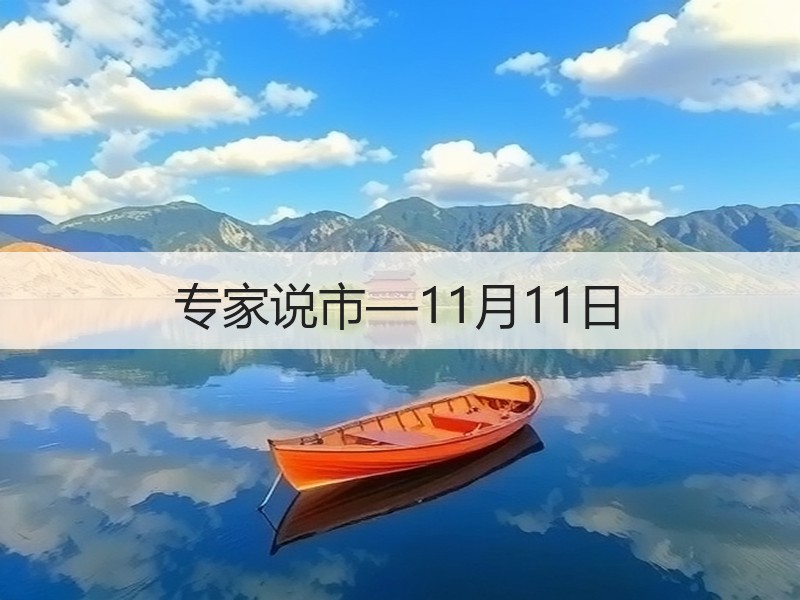 专家说市—11月11日
