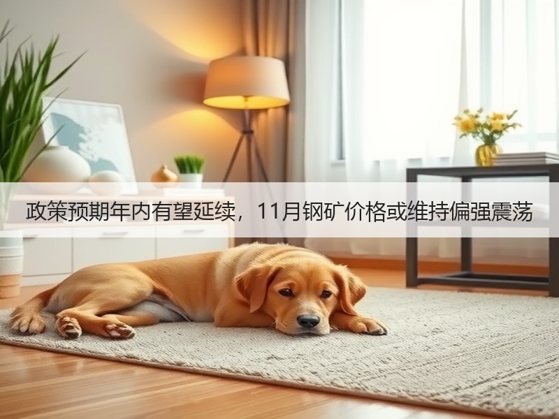 政策预期年内有望延续，11月钢矿价格或维持偏强震荡