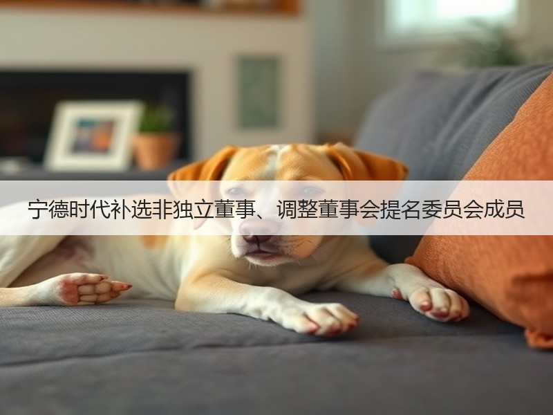 宁德时代补选非独立董事、调整董事会提名委员会成员