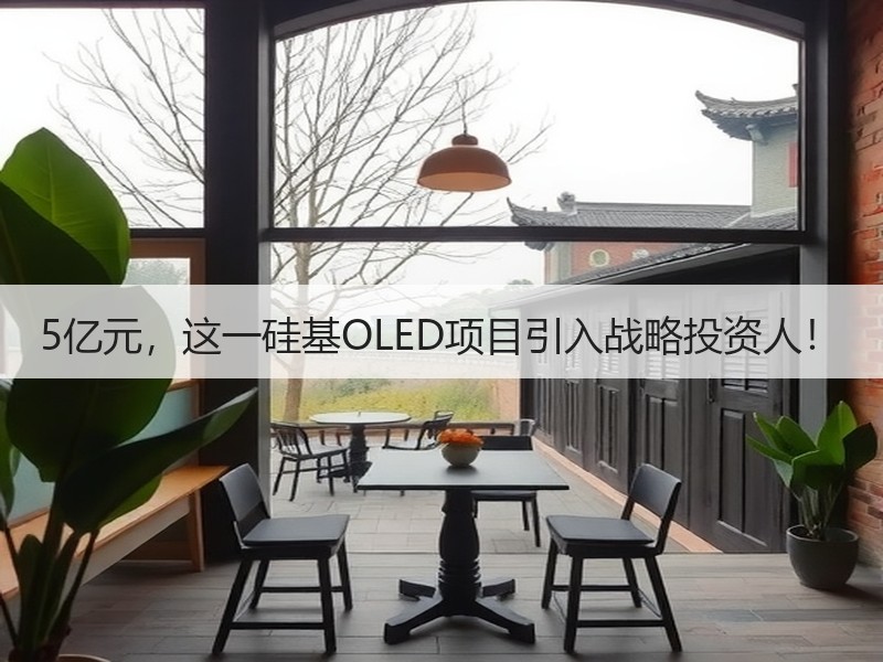 5亿元，这一硅基OLED项目引入战略投资人！