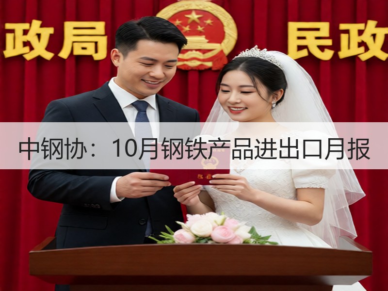 中钢协：10月钢铁产品进出口月报