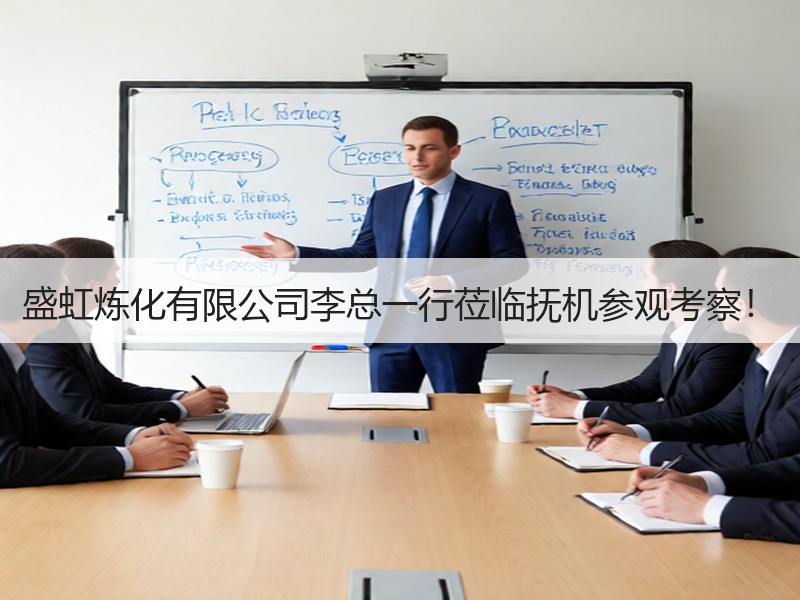 盛虹炼化有限公司李总一行莅临抚机参观考察！