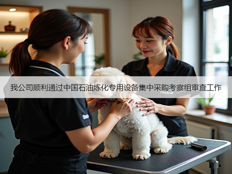 我公司顺利通过中国石油炼化专用设备集中采购考察组审查工作