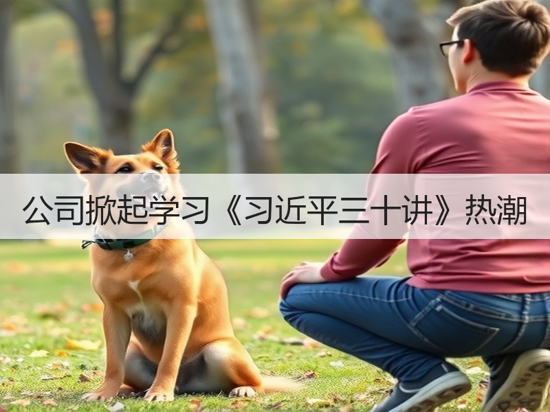 公司掀起学习《习近平三十讲》热潮