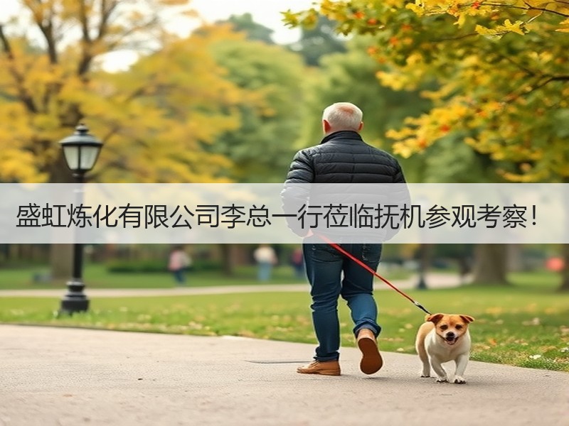 盛虹炼化有限公司李总一行莅临抚机参观考察！