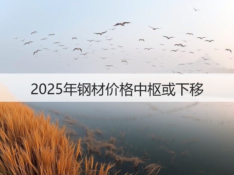 2025年钢材价格中枢或下移