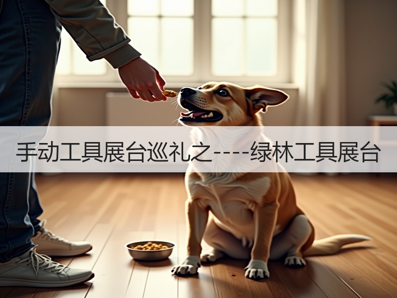 手动工具展台巡礼之----绿林工具展台