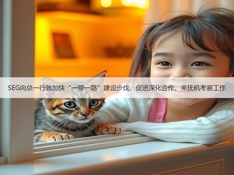 SEG向总一行就加快“一带一路”建设步伐，促进深化合作，来抚机考察工作