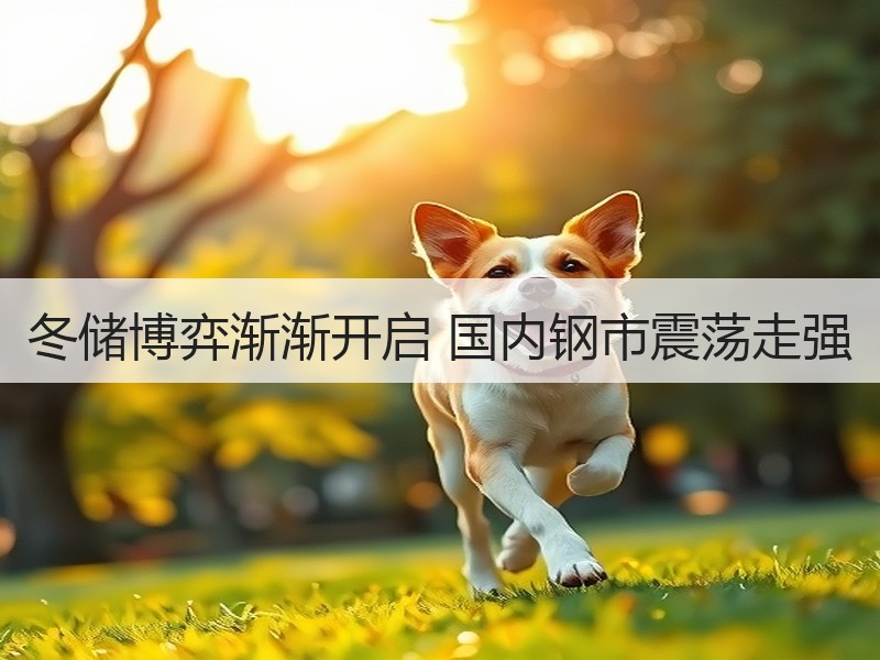 冬储博弈渐渐开启 国内钢市震荡走强