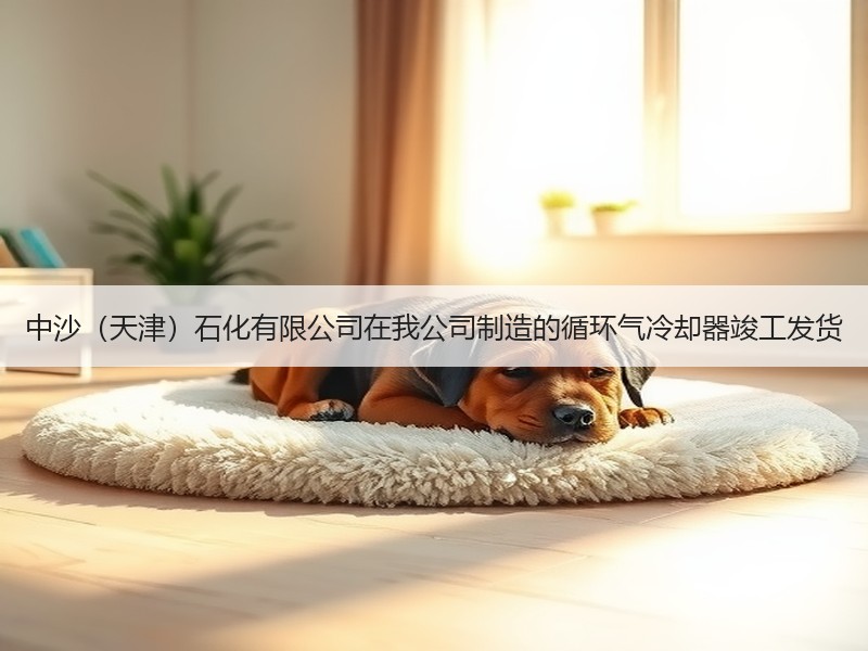中沙（天津）石化有限公司在我公司制造的循环气冷却器竣工发货
