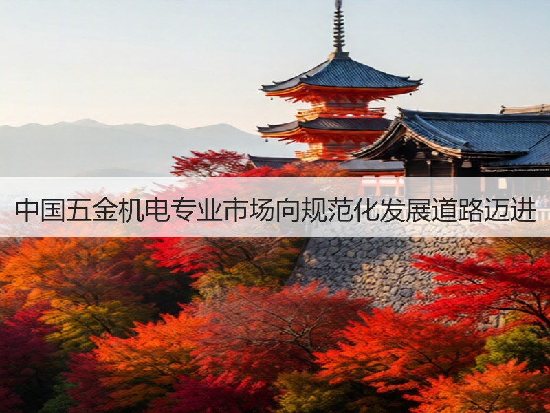 中国五金机电专业市场向规范化发展道路迈进