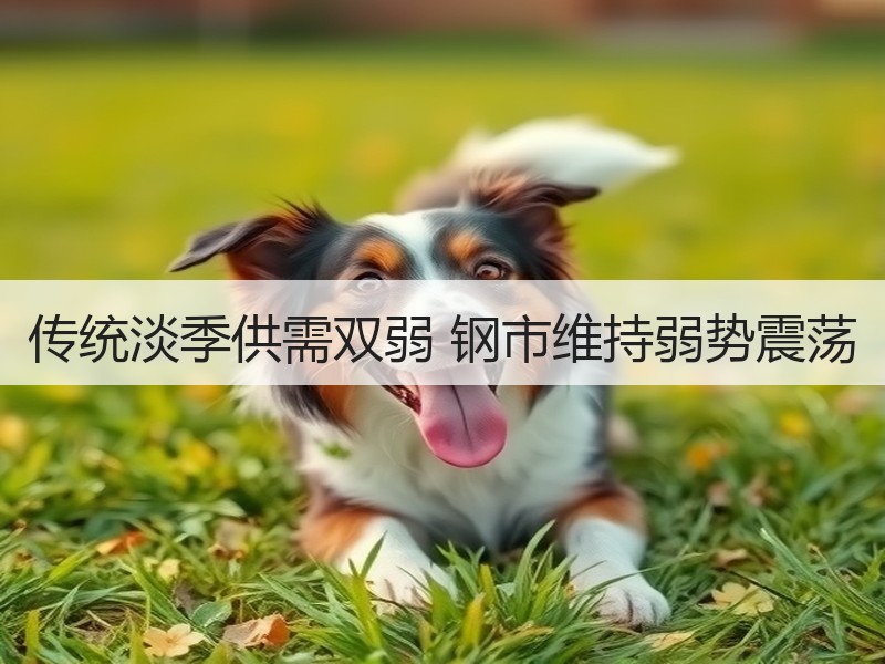 传统淡季供需双弱 钢市维持弱势震荡