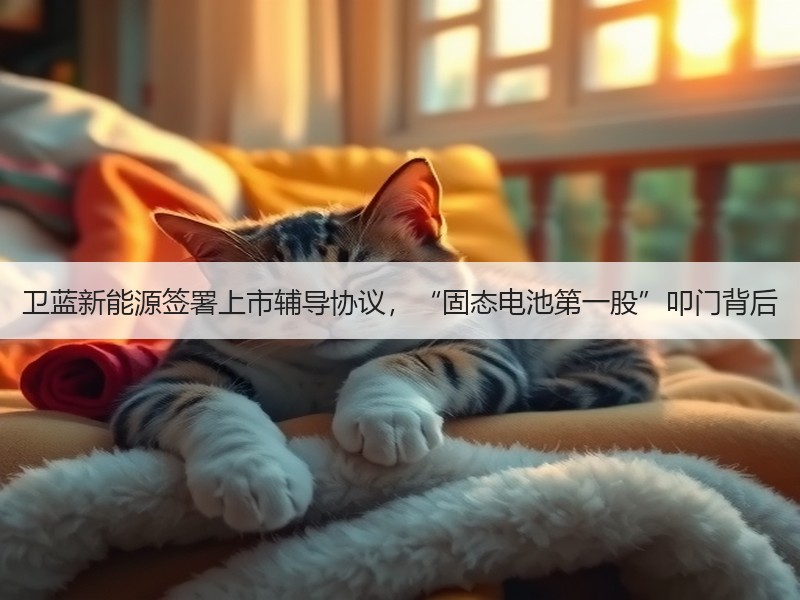 卫蓝新能源签署上市辅导协议，“固态电池第一股”叩门背后
