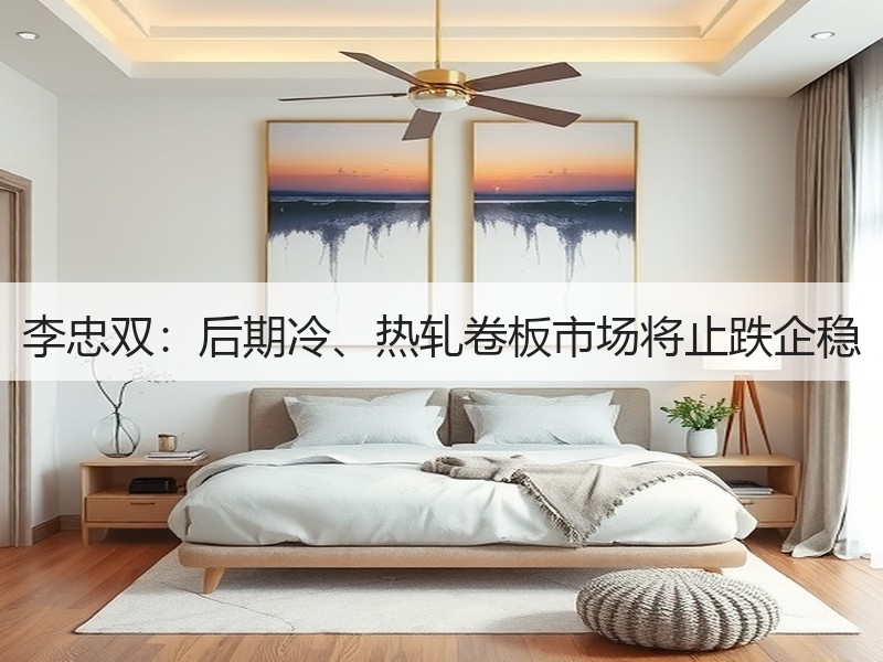 李忠双：后期冷、热轧卷板市场将止跌企稳