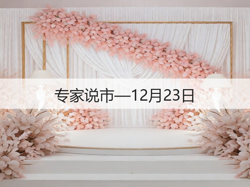 专家说市—12月23日