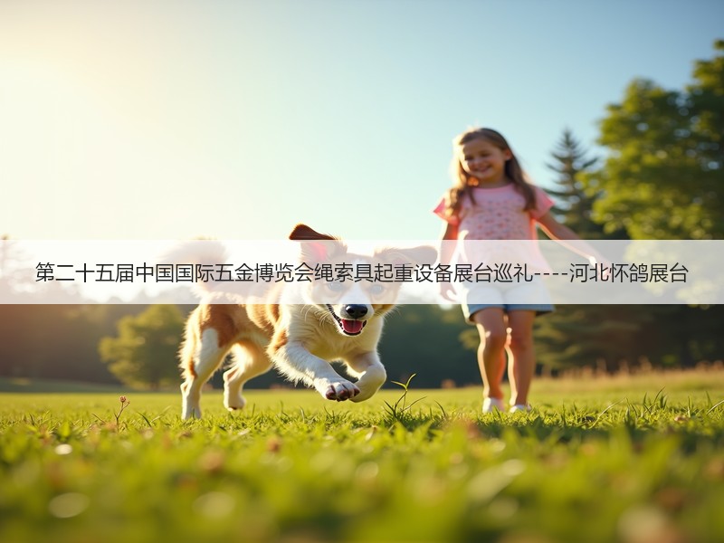 第二十五届中国国际五金博览会绳索具起重设备展台巡礼----河北怀鸽展台