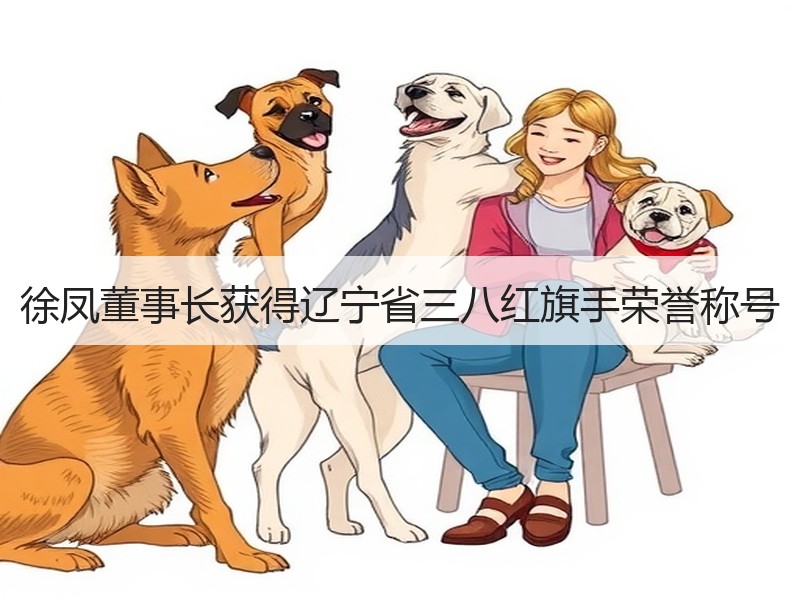 徐凤董事长获得辽宁省三八红旗手荣誉称号