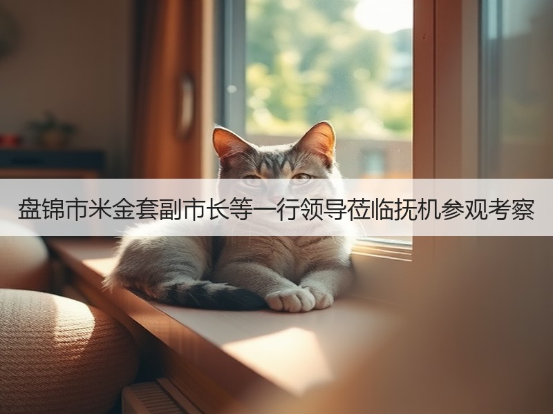 盘锦市米金套副市长等一行领导莅临抚机参观考察