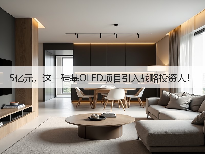 5亿元，这一硅基OLED项目引入战略投资人！