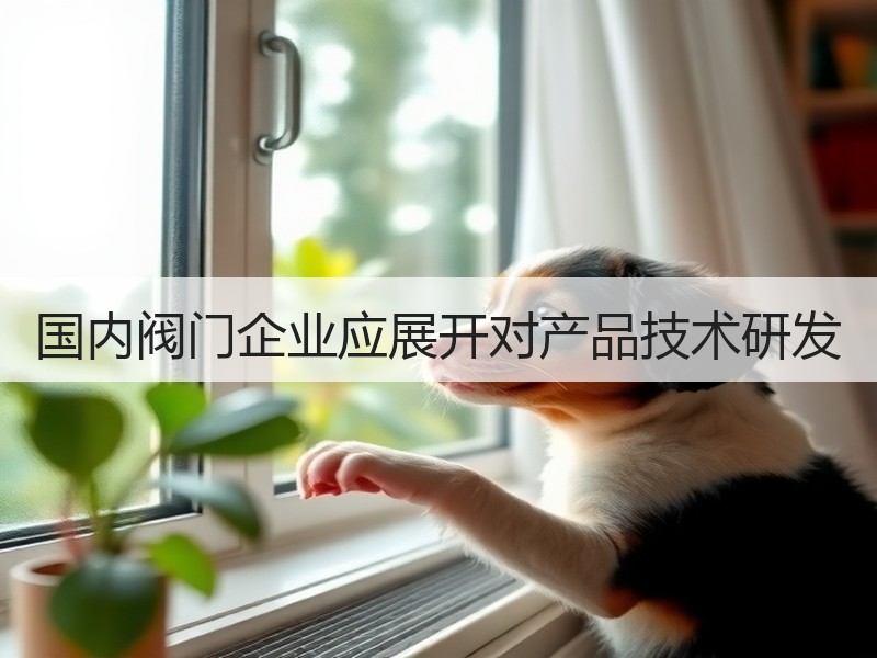 国内阀门企业应展开对产品技术研发