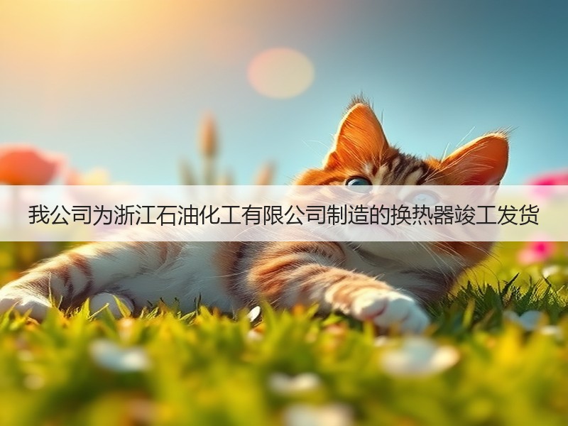 我公司为浙江石油化工有限公司制造的换热器竣工发货