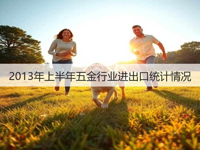 2013年上半年五金行业进出口统计情况
