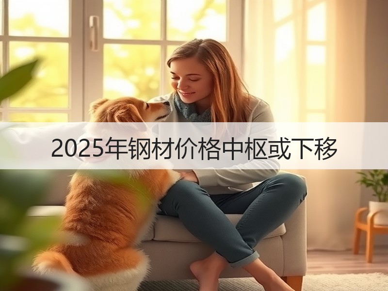 2025年钢材价格中枢或下移