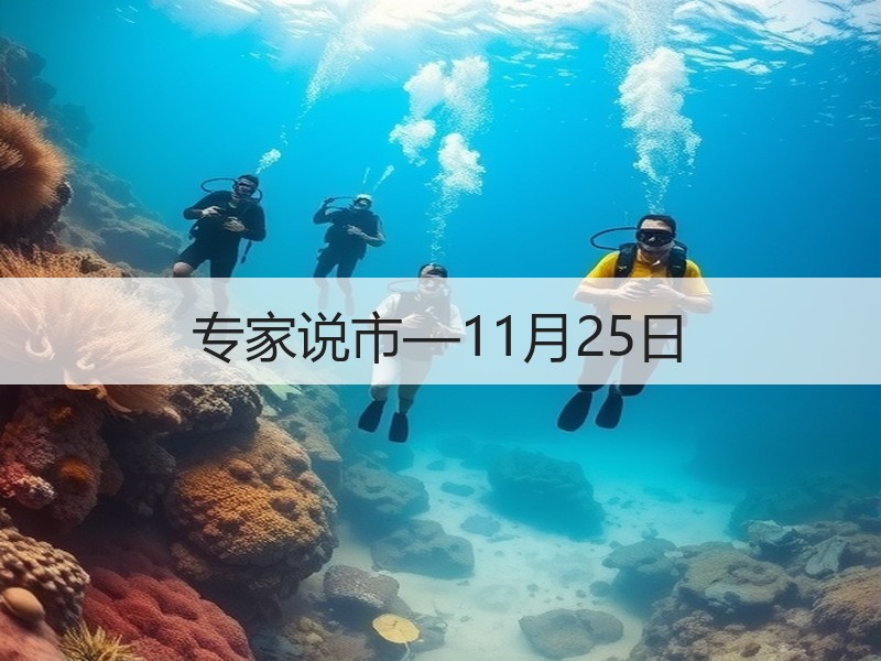 专家说市—11月25日