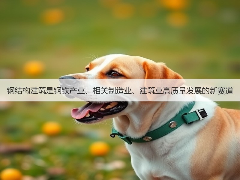 钢结构建筑是钢铁产业、相关制造业、建筑业高质量发展的新赛道