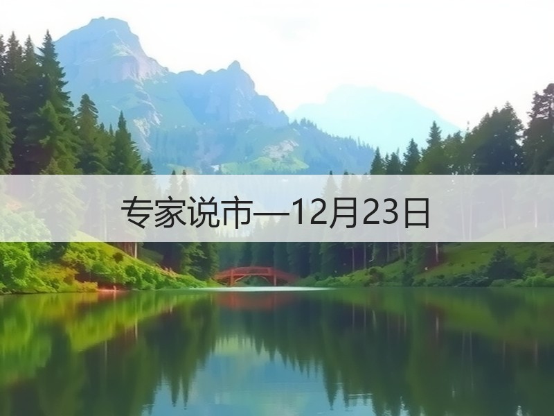 专家说市—12月23日