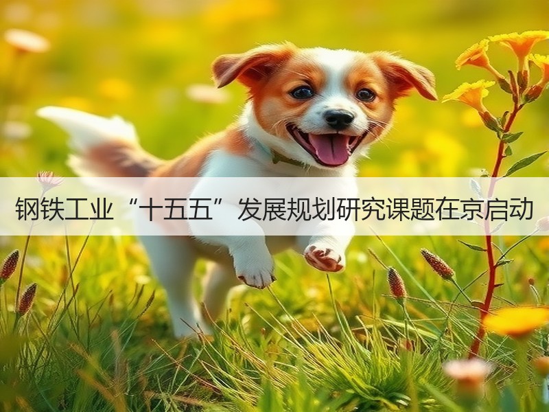 钢铁工业“十五五”发展规划研究课题在京启动