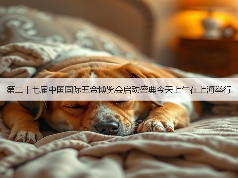 第二十七届中国国际五金博览会启动盛典今天上午在上海举行